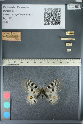 Media type: image;   Entomology 175205